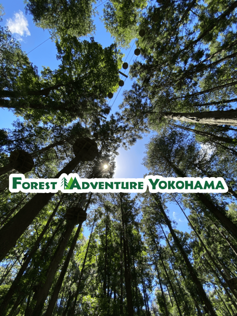 【横浜市】フォレストアドベンチャー・よこはま